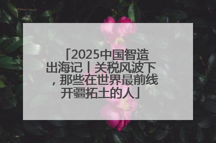 2025中国智造出海记丨关税风波下，那些在世界最前线开疆拓土的人