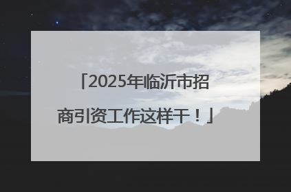 2025年临沂市招商引资工作这样干！