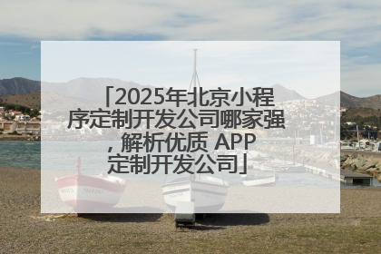 2025年北京小程序定制开发公司哪家强，解析优质 APP 定制开发公司