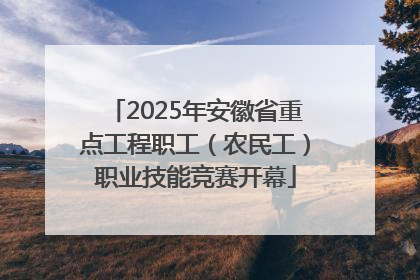2025年安徽省重点工程职工（农民工）职业技能竞赛开幕
