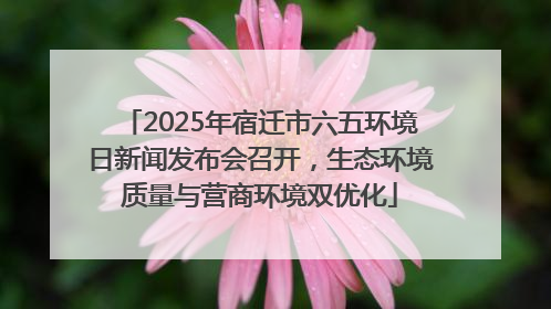 2025年宿迁市六五环境日新闻发布会召开，生态环境质量与营商环境双优化