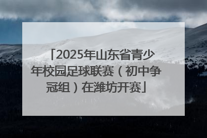 2025年山东省青少年校园足球联赛（初中争冠组）在潍坊开赛