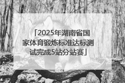 2025年湖南省国家体育锻炼标准达标测试完成5站分站赛