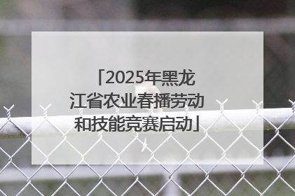 2025年黑龙江省农业春播劳动和技能竞赛启动