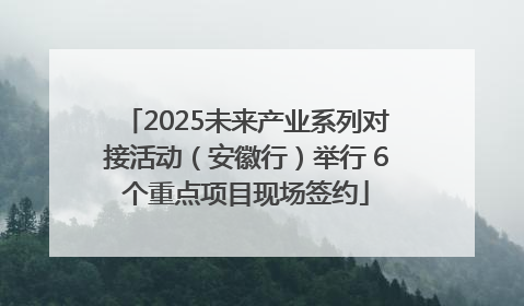 2025未来产业系列对接活动（安徽行）举行 6个重点项目现场签约
