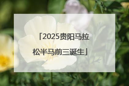 2025贵阳马拉松半马前三诞生
