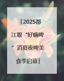 2025都江堰“好嗨啤”消夏夜啤美食季启幕