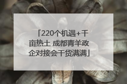 220个机遇+千亩热土 成都青羊政企对接会干货满满