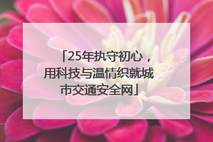 25年执守初心，用科技与温情织就城市交通安全网