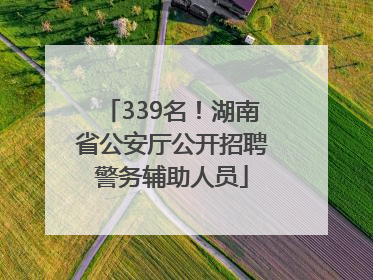 339名！湖南省公安厅公开招聘警务辅助人员