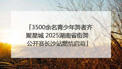 3500余名青少年舞者齐聚星城 2025湖南省街舞公开赛长沙站燃情启幕