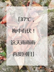 37℃，梅中有伏！这天雨雨雨再度回归