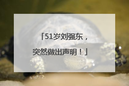 51岁刘强东，突然做出声明！