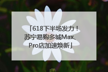 618下半场发力！苏宁易购多城Max、Pro店加速焕新