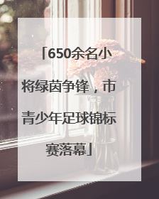 650余名小将绿茵争锋，市青少年足球锦标赛落幕