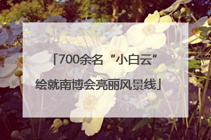 700余名“小白云”绘就南博会亮丽风景线