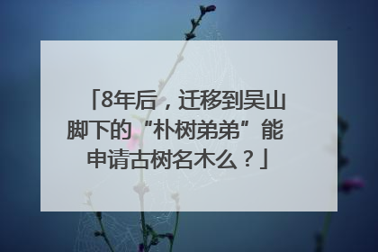 8年后，迁移到吴山脚下的“朴树弟弟”能申请古树名木么？