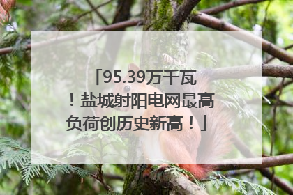95.39万千瓦！盐城射阳电网最高负荷创历史新高！