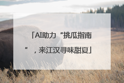 AI助力“挑瓜指南”，来江汉寻味甜夏