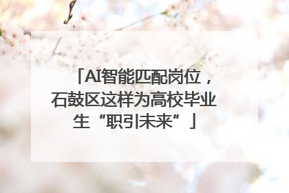 AI智能匹配岗位，石鼓区这样为高校毕业生“职引未来”