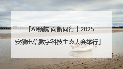 AI领航 向新同行丨2025安徽电信数字科技生态大会举行