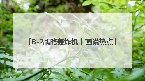 B-2战略轰炸机丨画说热点