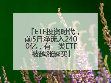 ETF投资时代，前5月净流入2400亿，有一类ETF被越涨越买