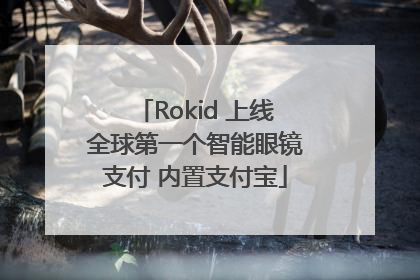 Rokid 上线全球第一个智能眼镜支付 内置支付宝