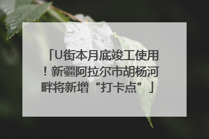 U街本月底竣工使用！新疆阿拉尔市胡杨河畔将新增“打卡点”
